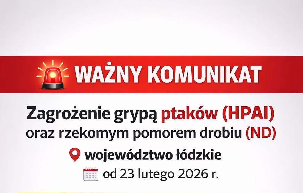 Zagrożenie grypą ptaków w woj. łódzkim – ważne nakazy i zakazy